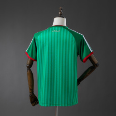 2026 World Cup Algeria Home Fan version Jersey S-XXL
