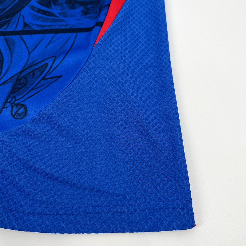 2024-25 Japan Especial Football jersey