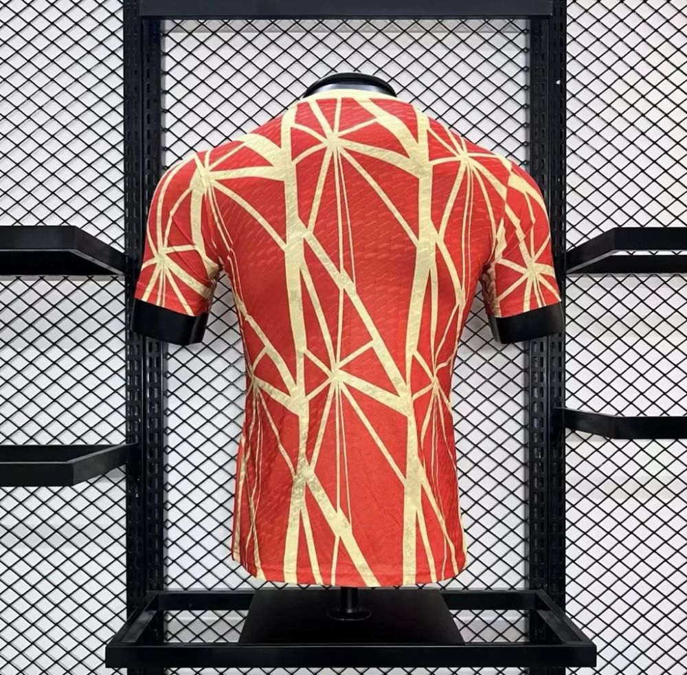 Player 2024-25 Bayern Munich Special Edition Football jersey