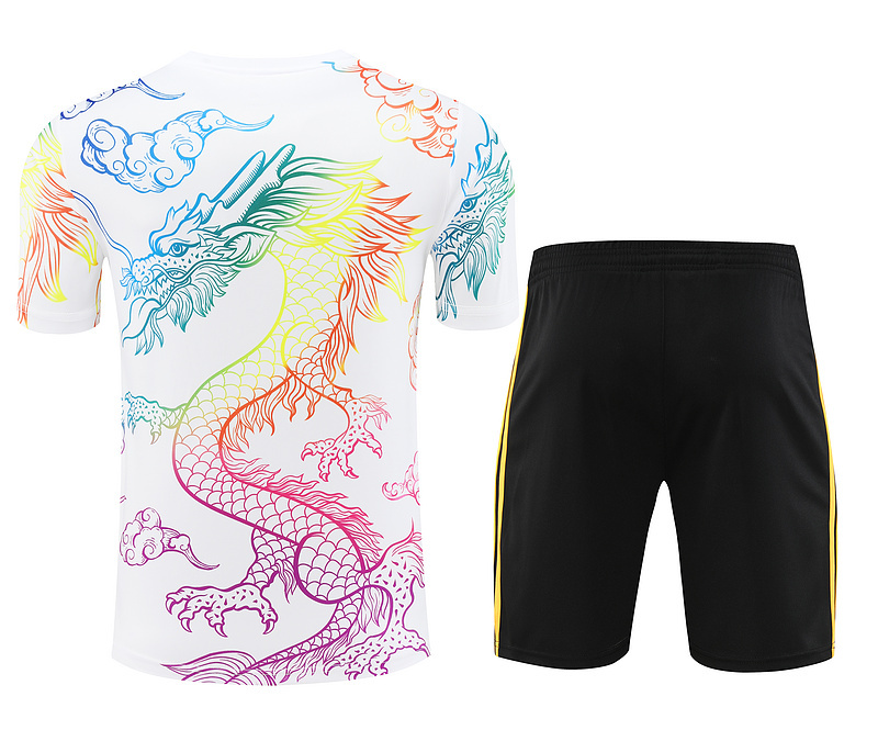 2024-25 Real Madrid Short Sleeve Training Wear