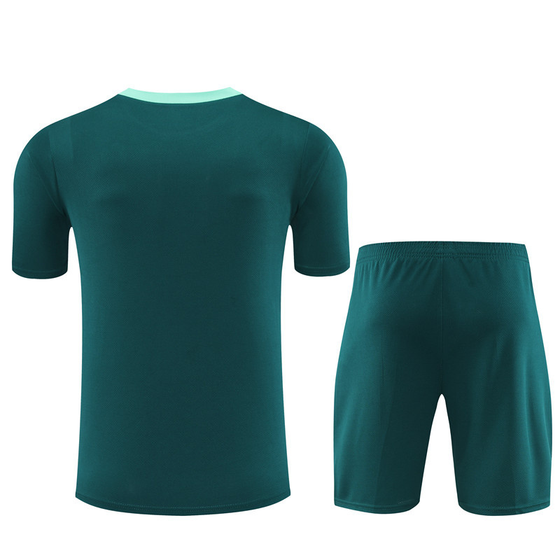 2024-25 Tottenham Short-sleeved training clothese