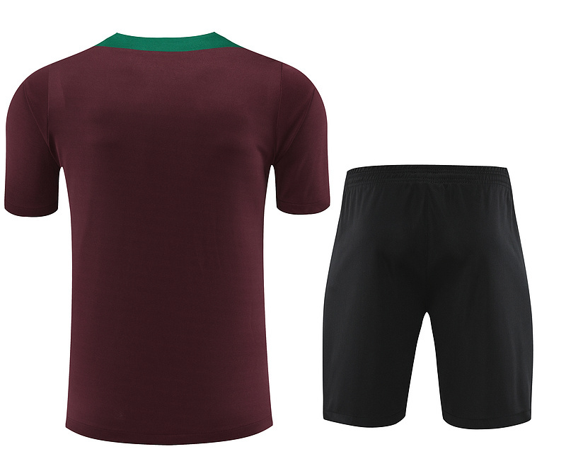 2024-25 PSG short-sleeved training clothes