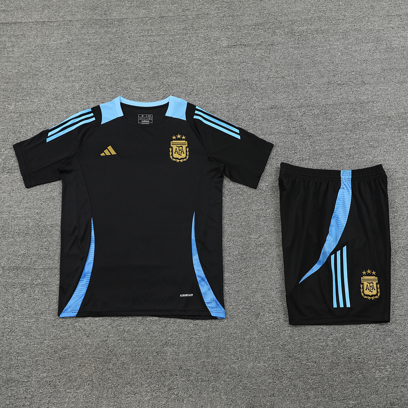 2024-25 Argentina Short-sleeved training clothese