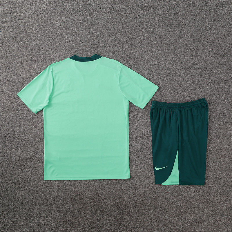 2024-25 Tottenham Short-sleeved training clothese