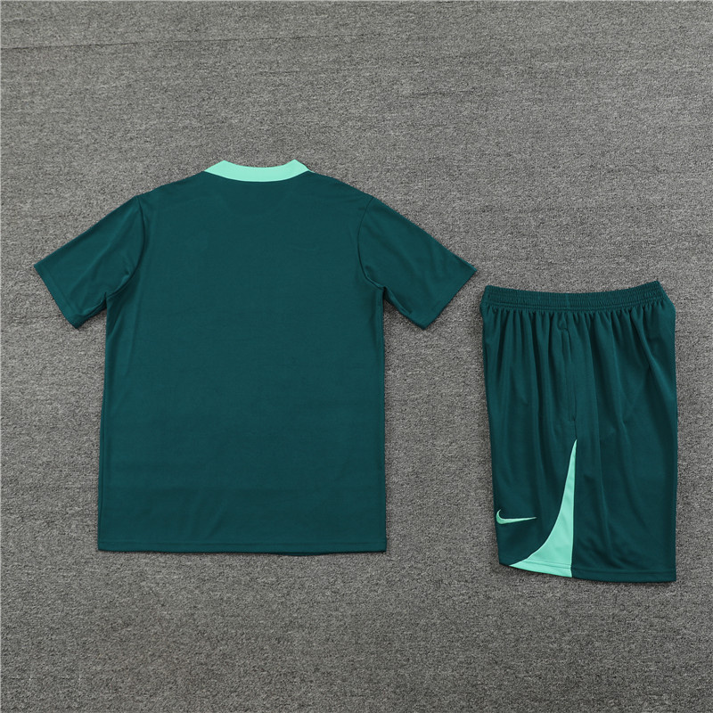 2024-25 Tottenham Short-sleeved training clothese