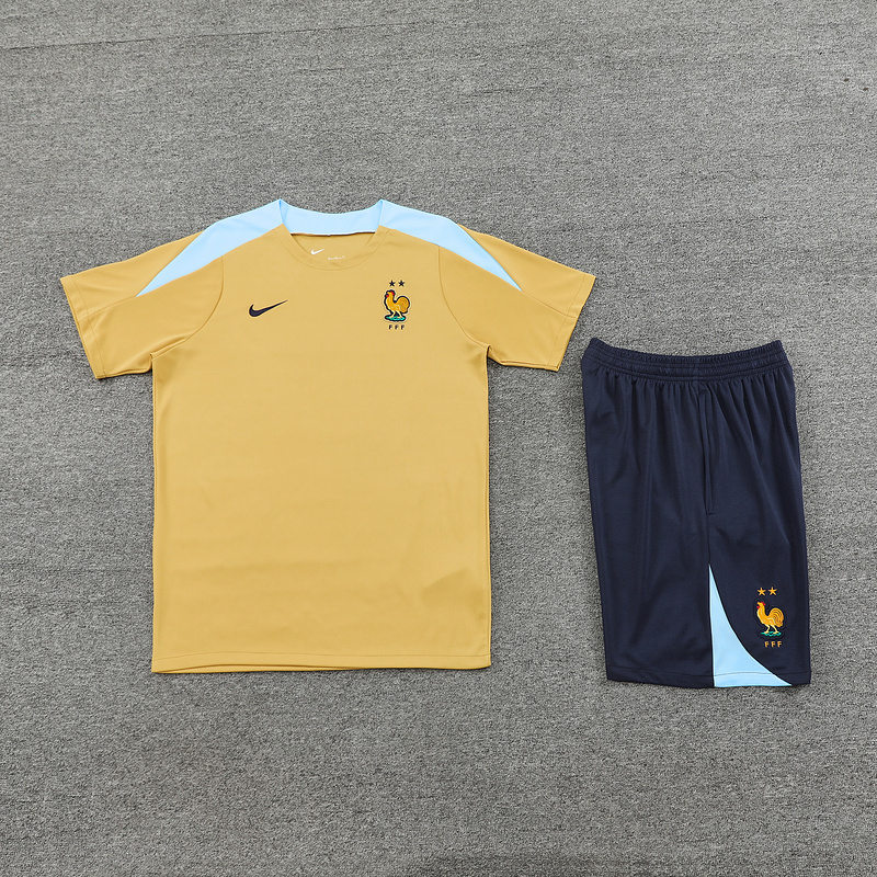 2024-25 France Short-sleeved training clothes