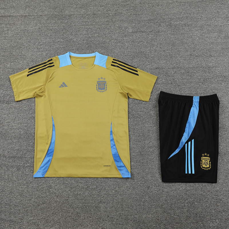 2024-25 Argentina Short-sleeved training clothese