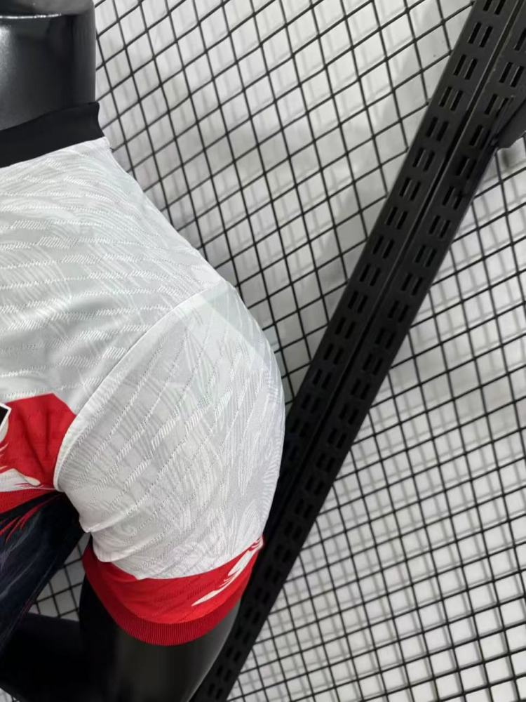 Player Edition 2025-26  Japan Special Edition Football jersey