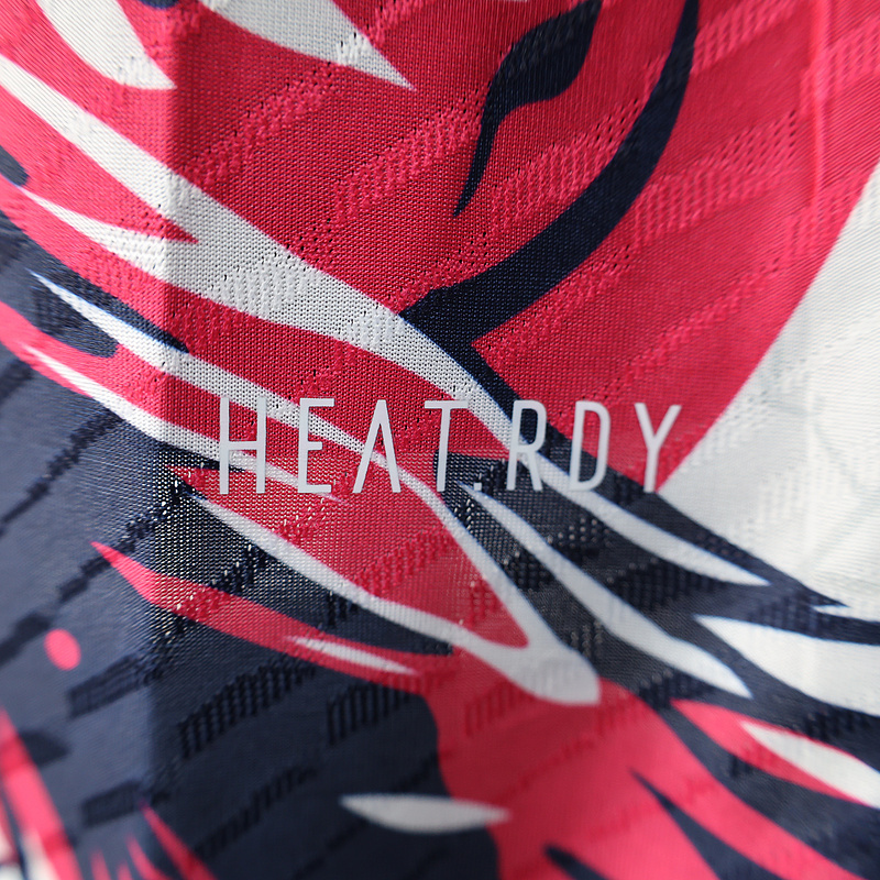 Player 2025-26 Japan Special Edition Football jersey