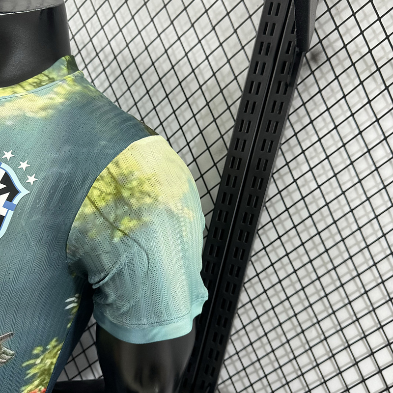 Player 2025-26 Brazil Special Edition Football jersey