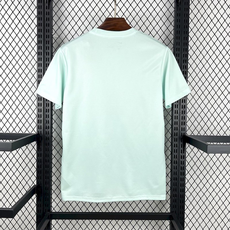 2025-26 Brazilian season green and white Football jersey