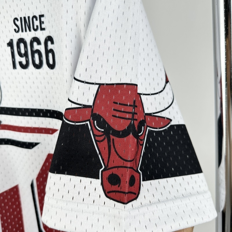 2026 NBA Chicago Bulls Basketball Jersey