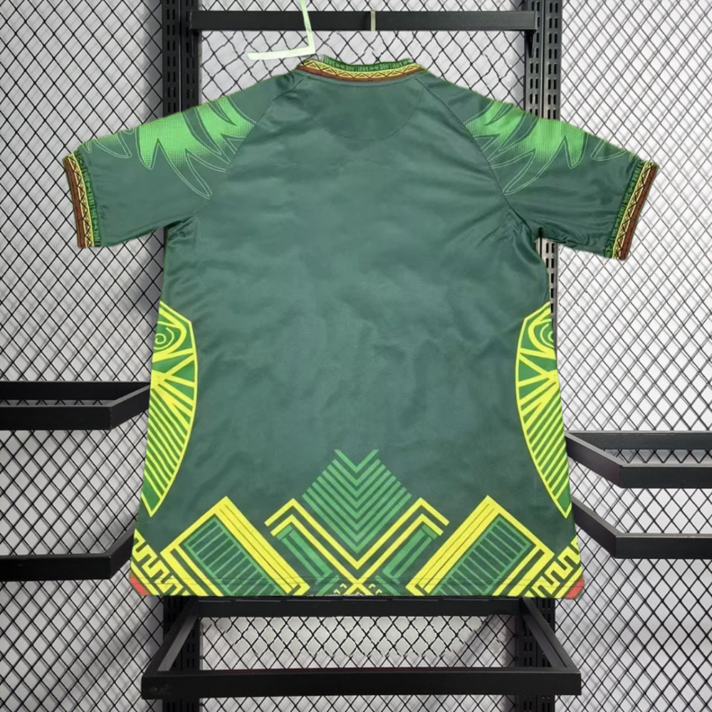 2026 Republic of Mali Away Football jersey