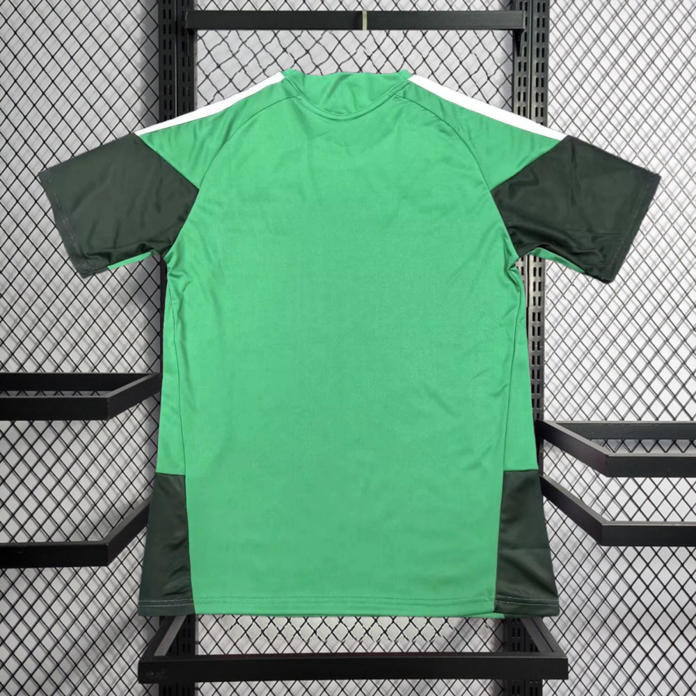 2026 Algeria Special Edition Football jersey