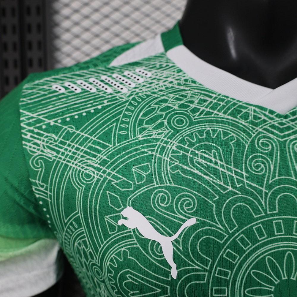 Player 2026 Côte d'Ivoire Special Edition Football jersey
