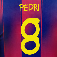 PEDRI #8