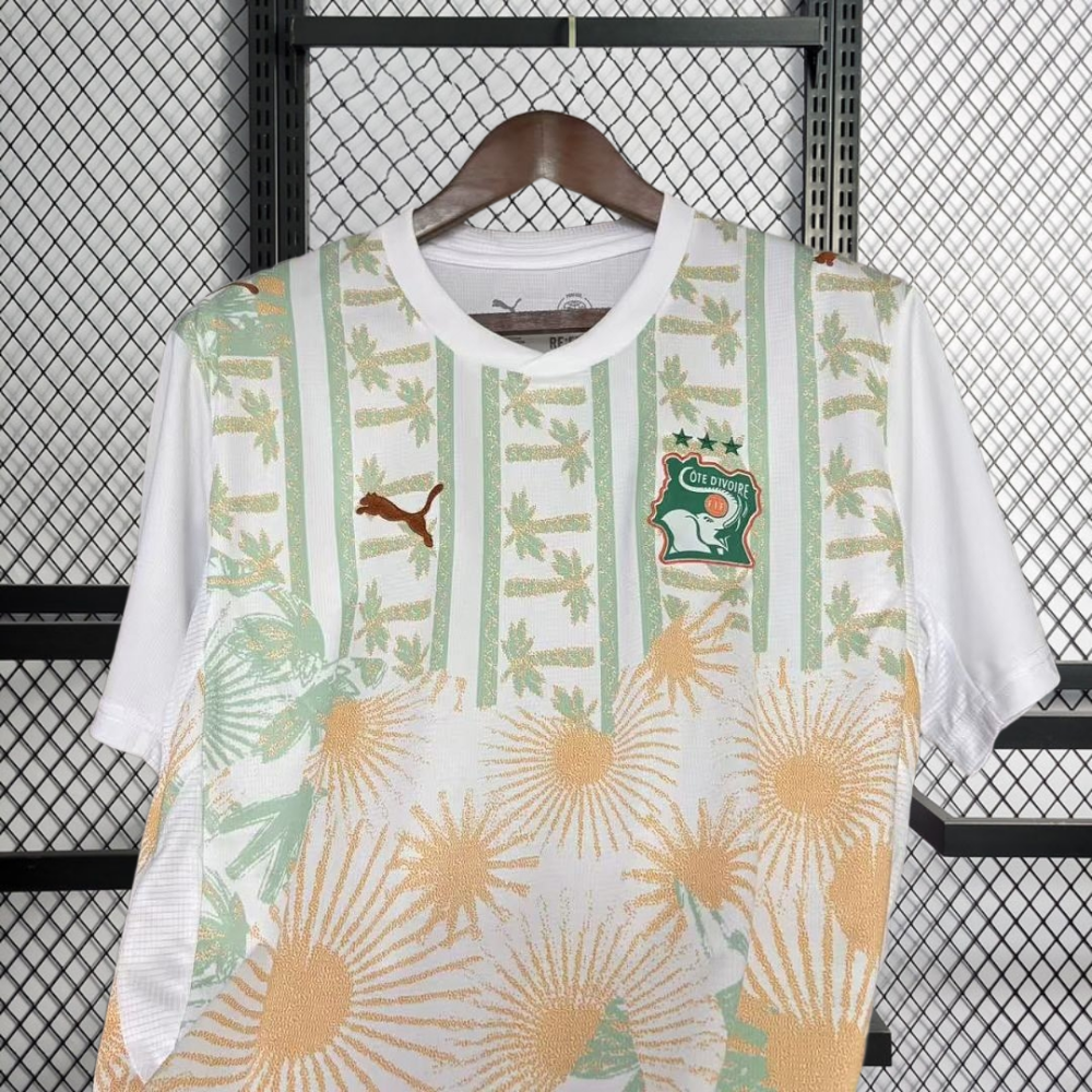 2026 Côte d'Ivoire Away Football jersey
