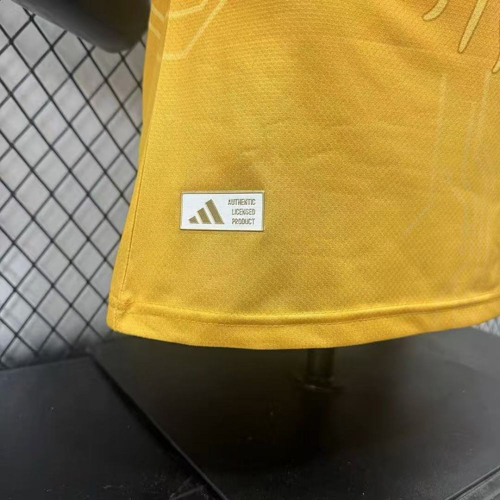 Player 2026 Argentina Special Edition Football jersey