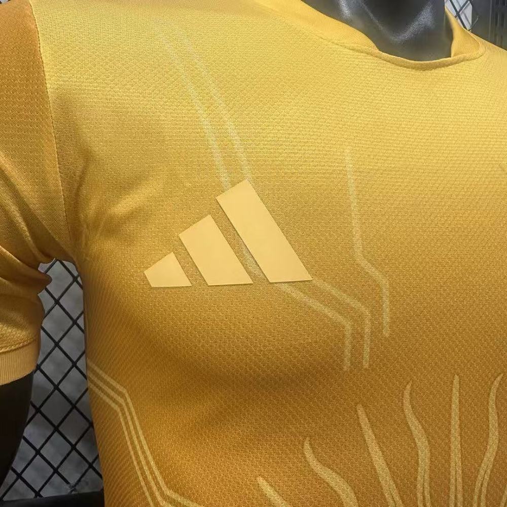 Player 2026 Argentina Special Edition Football jersey