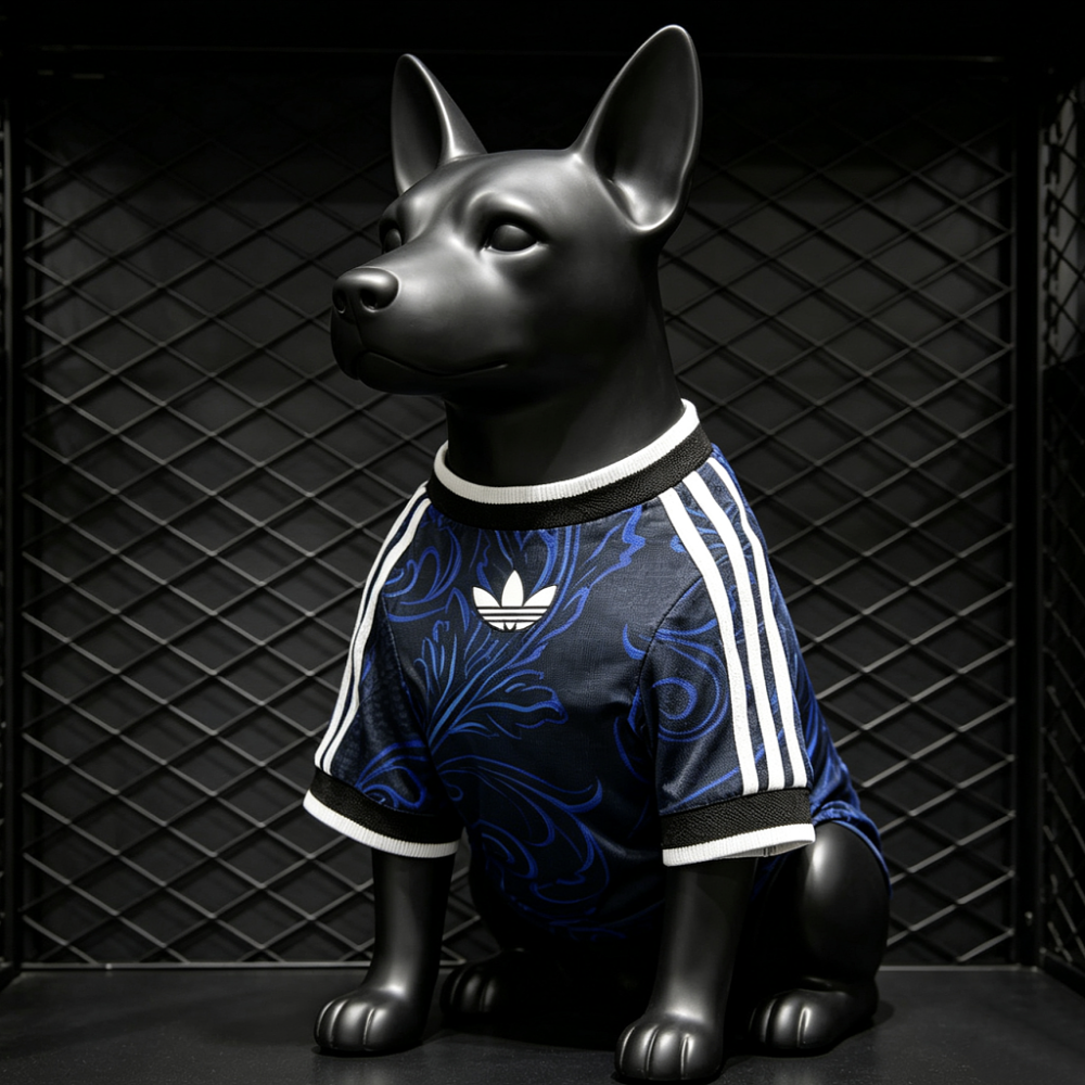 2026 Pet Argentina Away Football jersey