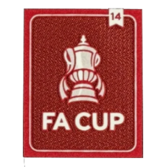 FA CUP 14