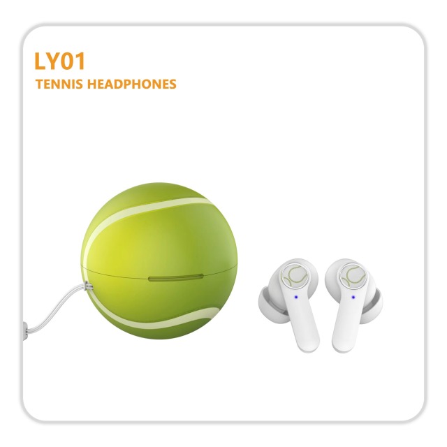 LY01 BLUETOOTH EARBUDS