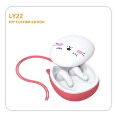 LY22 CANTON CUSTOMIZED