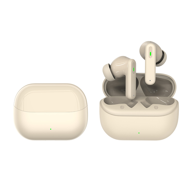 ANC/ENC TWS Earbuds