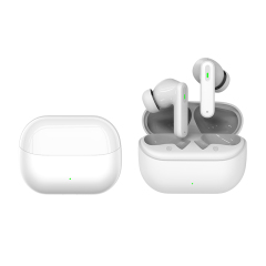 ANC/ENC TWS Earbuds