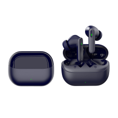 ANC/ENC TWS Earbuds