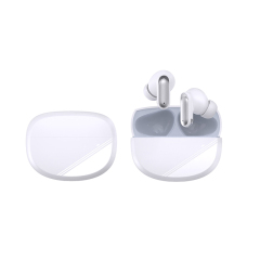 ANC/ENC New private model of earbuds