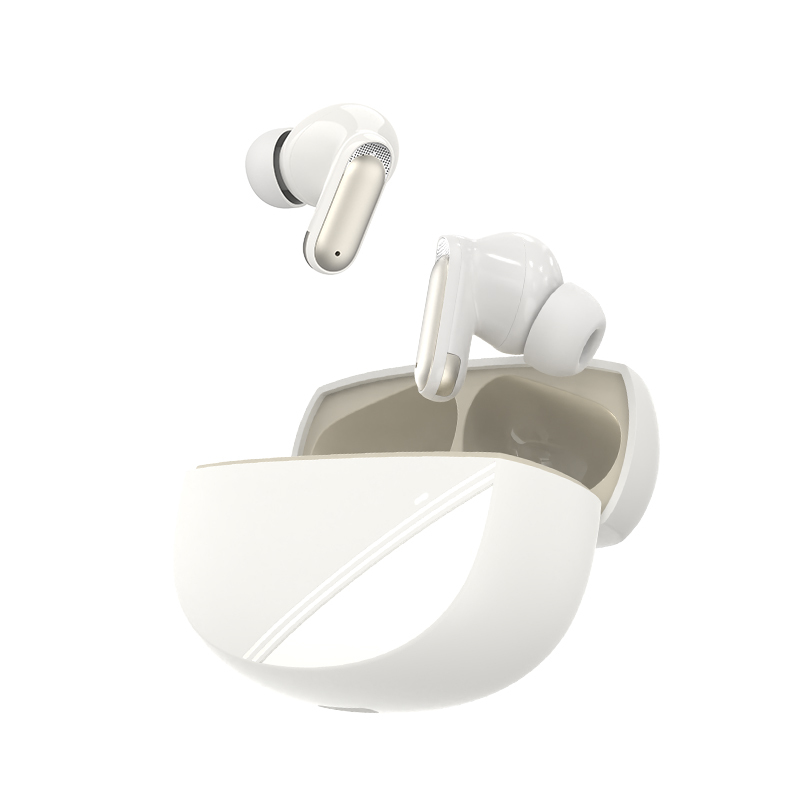 ANC/ENC New private model of earbuds