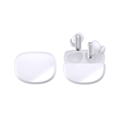 OEM Neswest ANC/ENC Earbuds for Liliang