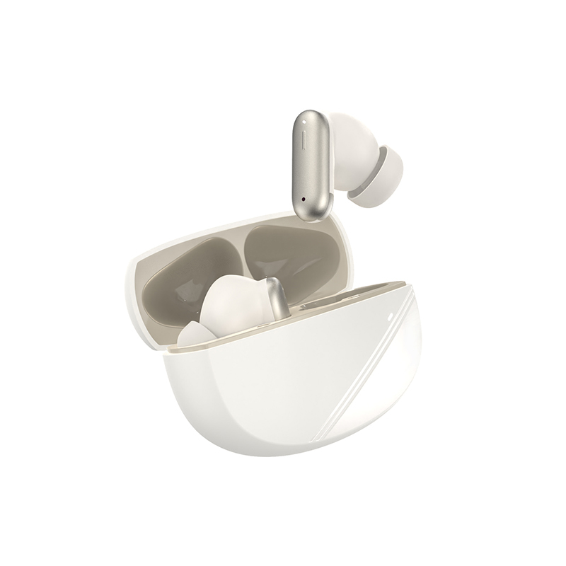 OEM Neswest ANC/ENC Earbuds for Liliang