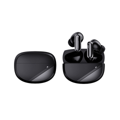 OEM Neswest ANC/ENC Earbuds for Liliang