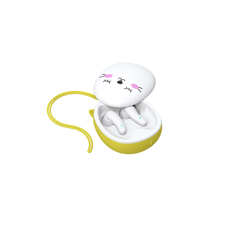 Cartoon shape designed DIY the patterns TWS earphones