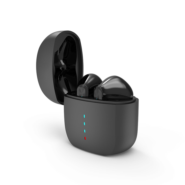 Mini lightweight body with a side flip cover design, unique and personalized Earphones