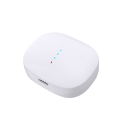 Mini lightweight body with a side flip cover design buletooth earphones