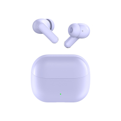 BT6.0 ANC/ENC Noice Reduction Up-to-date In-ear Earphones