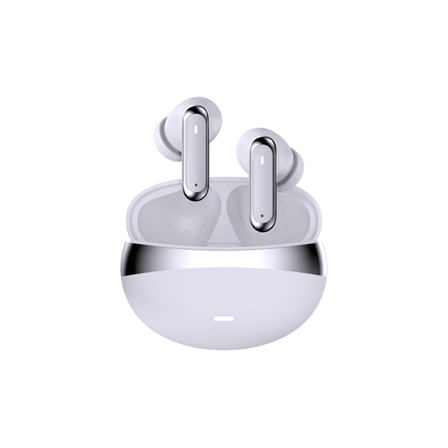 6-Mic Hybrid FF+FB ENC/ANC earphones