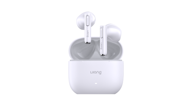 DIGITAL DISPLAY/LED INDICATOR(Semi-in-ear）
