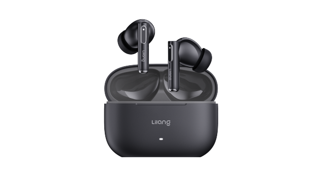 DIGITAL DISPLAY/LED INDICATOR（In-ear)