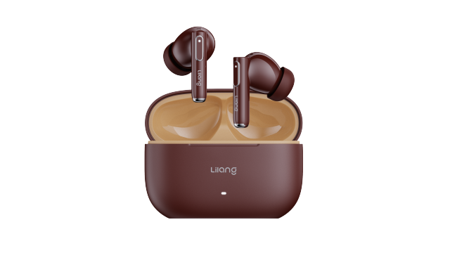DIGITAL DISPLAY/LED INDICATOR（In-ear)