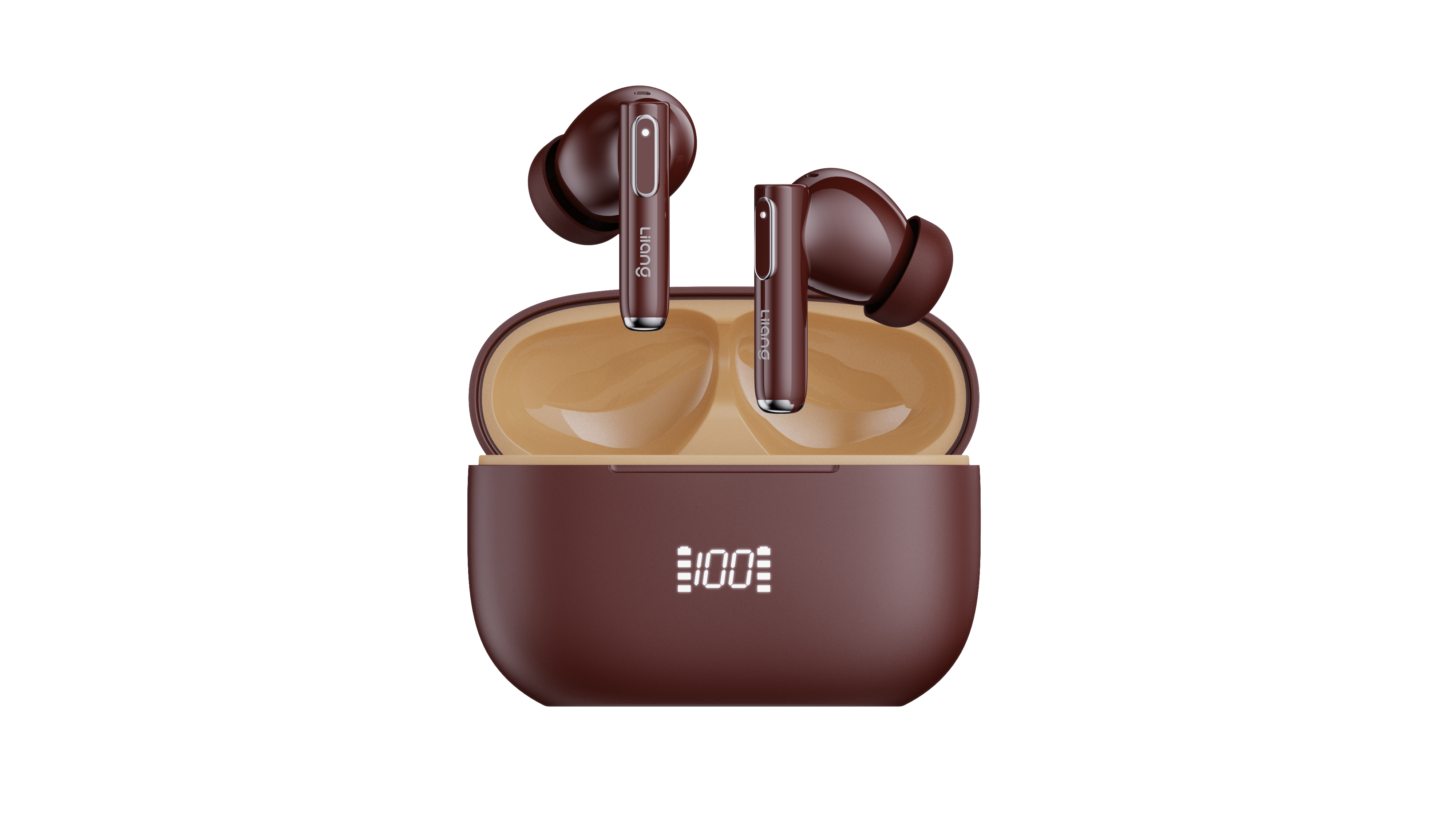 DIGITAL DISPLAY/LED INDICATOR（In-ear)