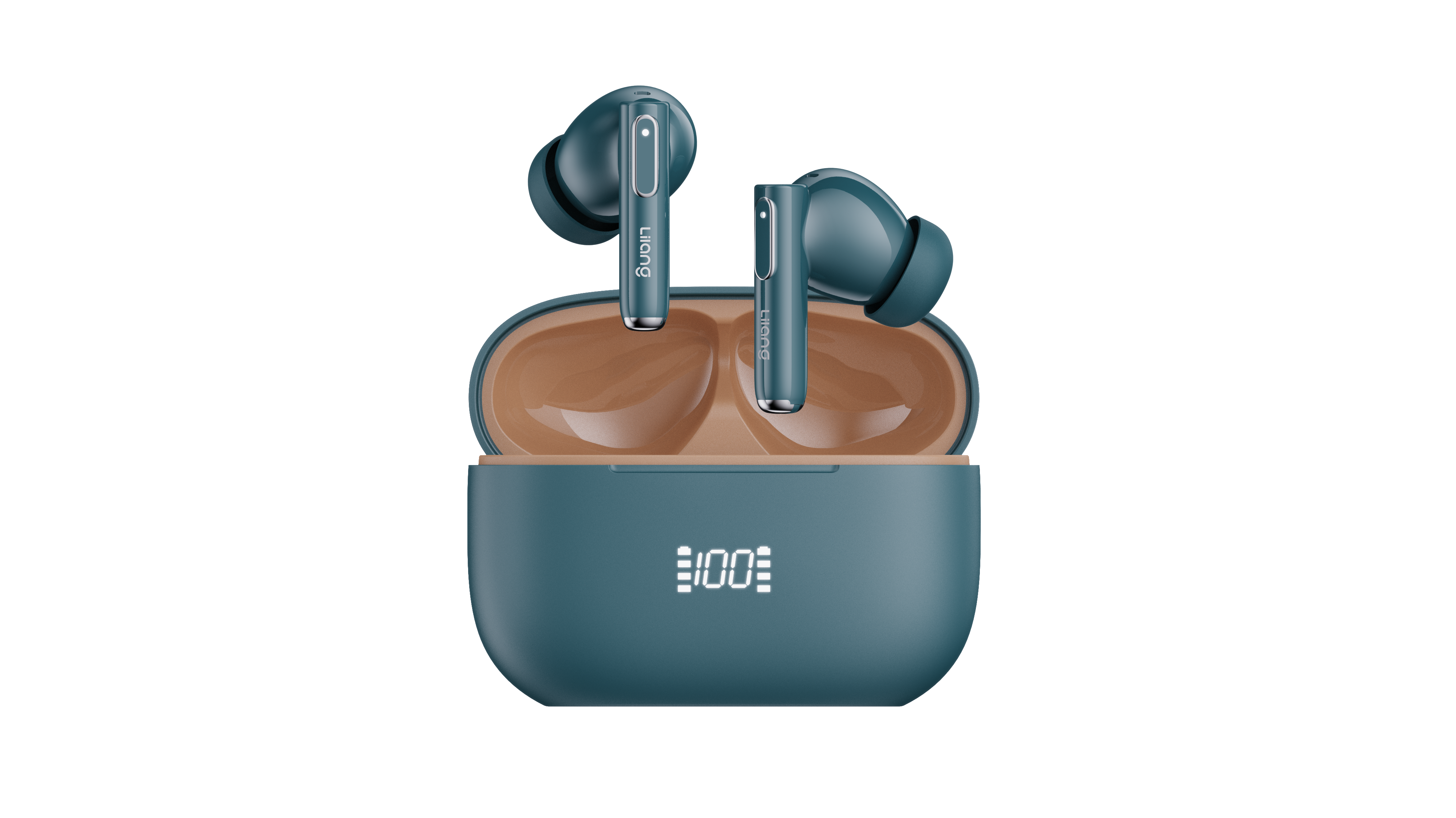 DIGITAL DISPLAY/LED INDICATOR（In-ear)