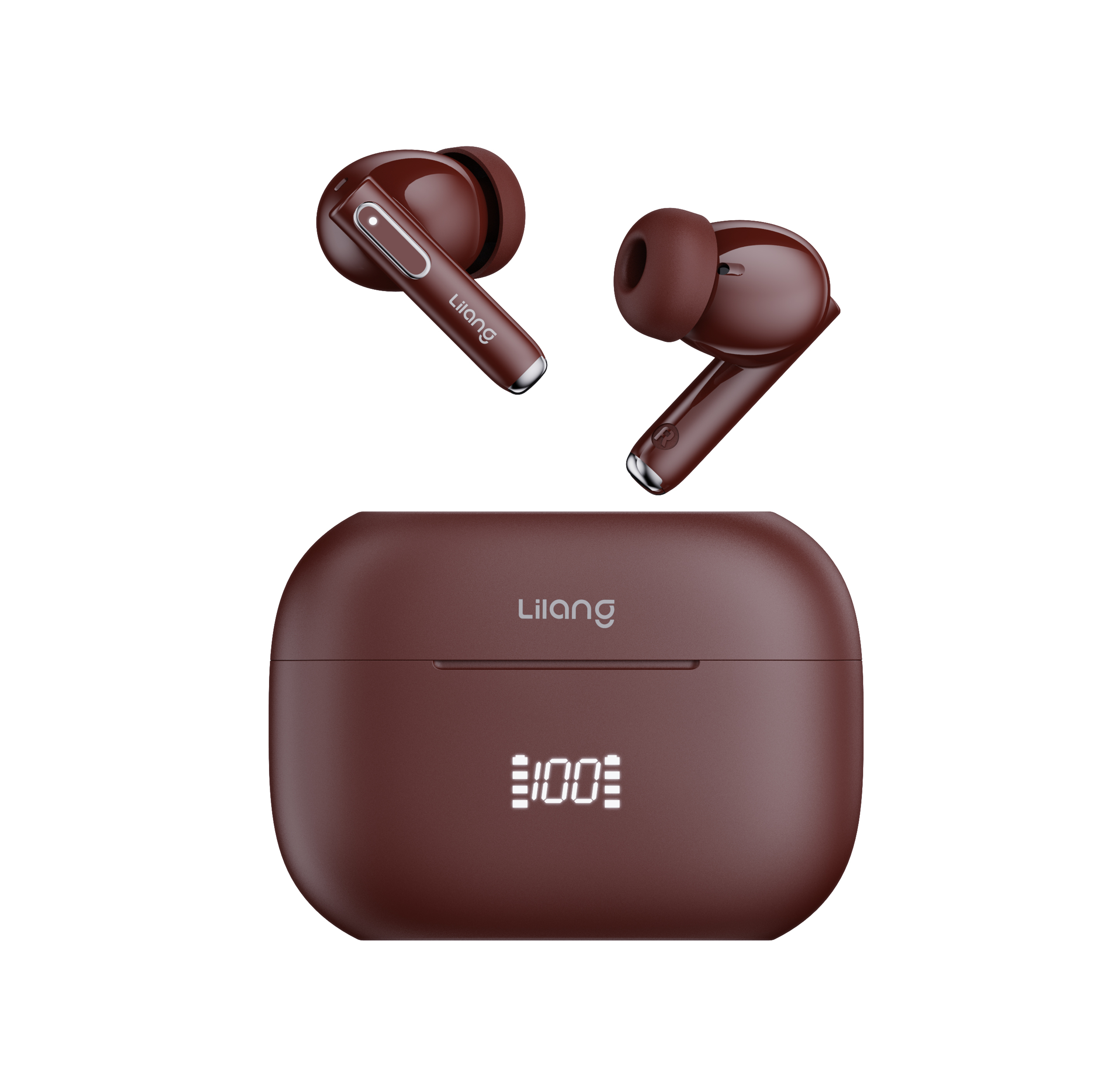 DIGITAL DISPLAY/LED INDICATOR（In-ear)