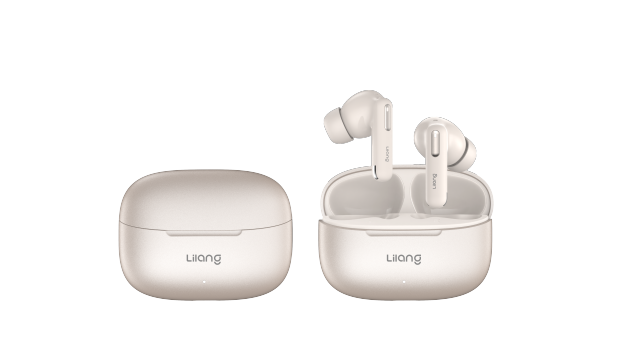 DNS 4.0 CALL-NOISE CANCELLATION