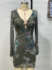 GXZ Long Sleeve Mesh Bodycon Mini Dress