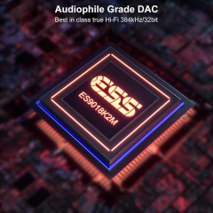 Bluetooth HiFi DAC Receiver with aptX-LL LDAC Wireless Receiver for Powered Speaker DS220