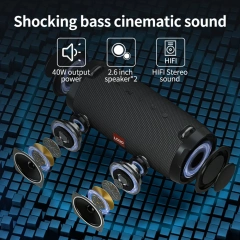 40W Output IPX5 Waterproof Rechargeable Bluetooth Hi-Fi Speaker with Wireless Karaoke Mic P9MiniUHF